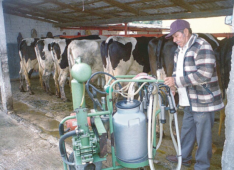 Lecheros se mantienen firmes por integrarse al TLCAN