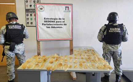 Aseguran 75 buches de totoaba en la aduana de Sonoyta, Sonora