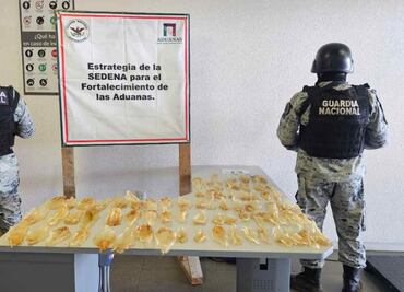 Aseguran 75 buches de totoaba en la aduana de Sonoyta, Sonora