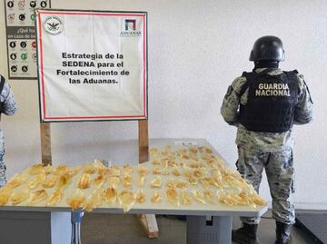 Aseguran 75 buches de totoaba en la aduana de Sonoyta, Sonora