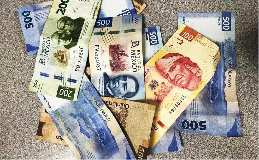 Todos los trabajadores tienen derecho al reparto de utilidades. Foto: Especial