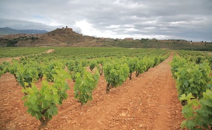 Conoce las Bodegas y Viñedos Sierra Cantabria