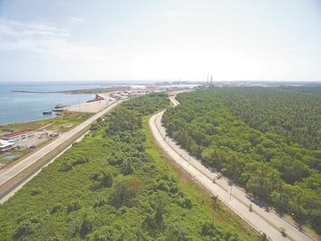 Talarán más de 181 hectáreas por proyecto petrolero