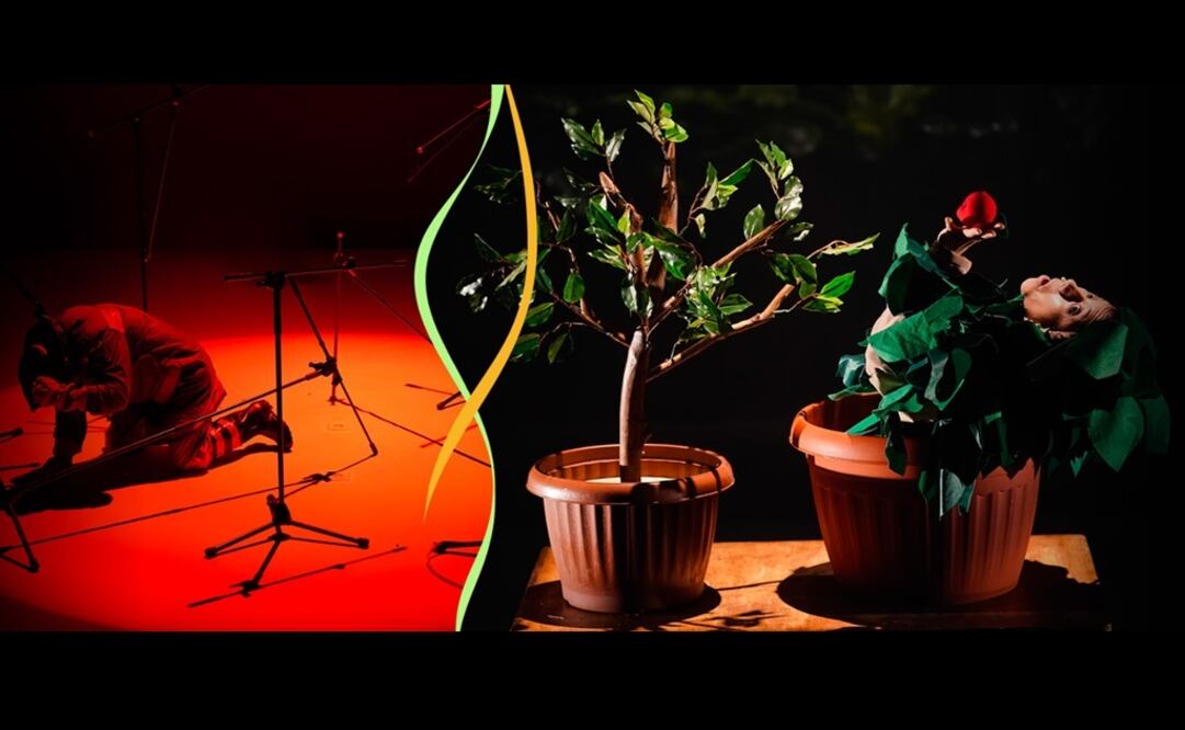 Obra "Estado vegetal". Foto: festivalcervantino.gob.mx