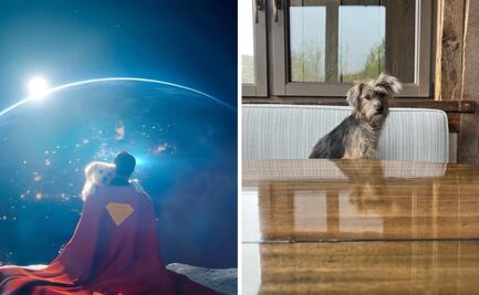 Él es Ozu, el perrito inspirado en Krypto que causó furor en "Superman"