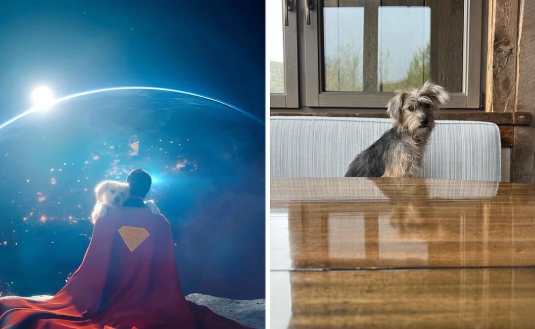 Krypto llega al cine con inspiración real: el perro de James Gunn dio vida al supercan del DCU
Foto: Captura de pantalla en Instagram