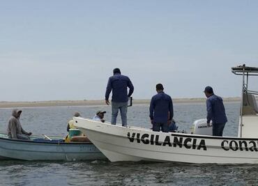 Conapesca combate pesca ilegal; decomisan 565 toneladas de producto pesquero y 214 mil 52 piezas de pesca