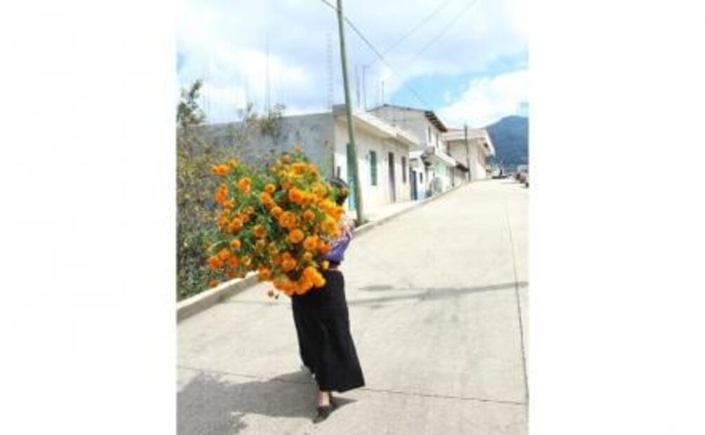 Mujeres tzotziles, cultivadoras de la flor de cempasúchil en Zinacantán, Chiapas