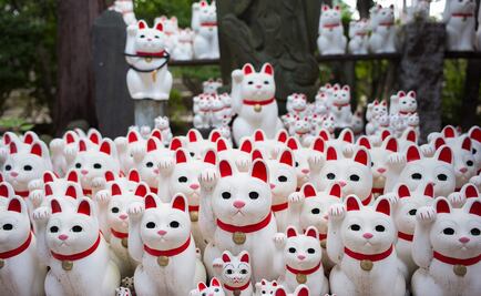 Templo de "gatos de la suerte" en Tokio atrae a 'instagramers' 