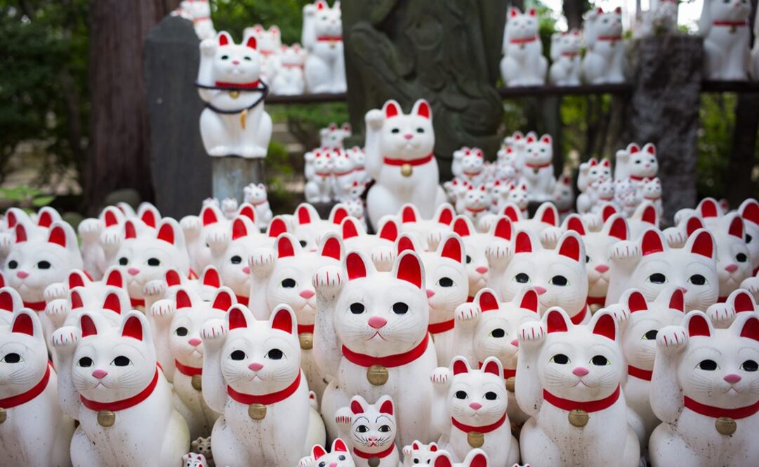 Según la leyenda, la presencia de estas figuras felinas se remonta al siglo XV, cuando un sacerdote adoptó un gato llamado Tama. Foto: AFP Martin Bureau 