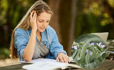 La planta que controla el azúcar en sangre y mejora la memoria en poco tiempo