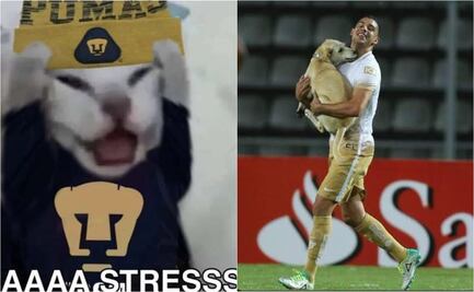 Liga MX: Pumas derrotó a Querétaro, pero ni así se salvó de los MEMES