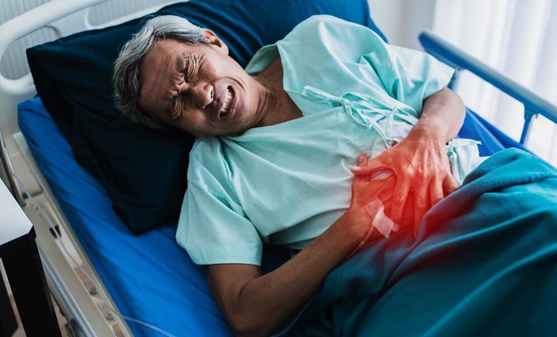 El hígado produce bilis, que permite descomponer grasas en el intestino delgado durante la digestión. Foto: Freepik