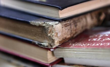 Devuelve libro a biblioteca medio siglo después de sacarlo