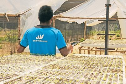 Desarrollan el “agrocoin”para invertir en negocios sustentables