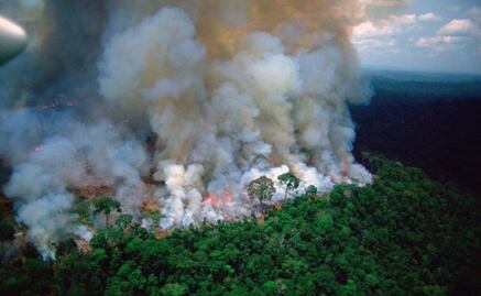 Cinco cosas que debes saber sobre la Amazonia