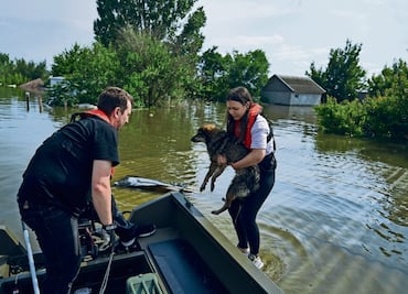 OIEA: reservas de agua de presa dañada aún enfrían reactores de Zaporiyia