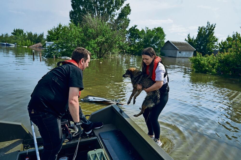 Voluntarios rescatan a perros en un bote de un vecindario inundado en Khersón, Foto: AP