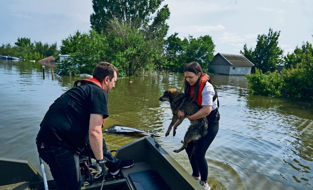 Voluntarios rescatan a perros en un bote de un vecindario inundado en Khersón, Foto: AP