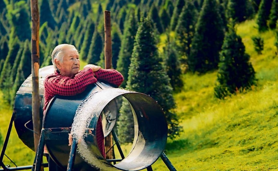 “Cultivar árboles es una expresión de amor”