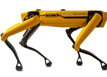 Perro robot ayuda a cuidar pacientes enfermos de Covid-19