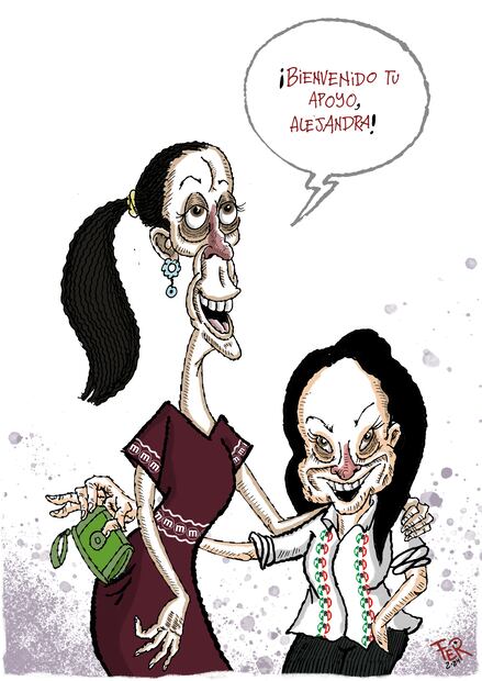 Cartón de FER