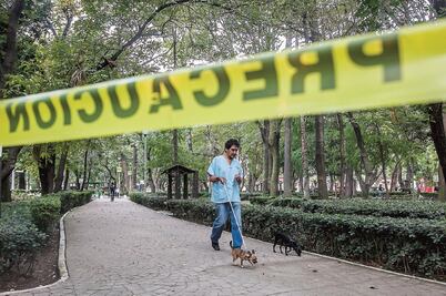 Piden castigo a los que maltratan animales