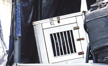 Detienen a dueña de pitbull que atacó a niño en el Centro