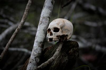 Migrantes VIP: así opera el millonario negocio con los chinos que cruzan el Darién