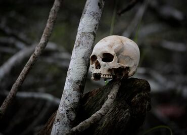 Migrantes VIP: así opera el millonario negocio con los chinos que cruzan el Darién