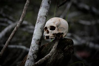 Migrantes VIP: así opera el millonario negocio con los chinos que cruzan el Darién