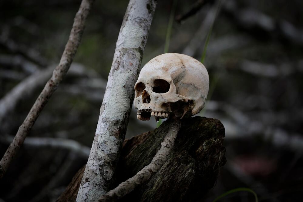 Fotografía de un cráneo humano en una orilla del río Tuquesa, en el Darién (Panamá). Foto: EFE