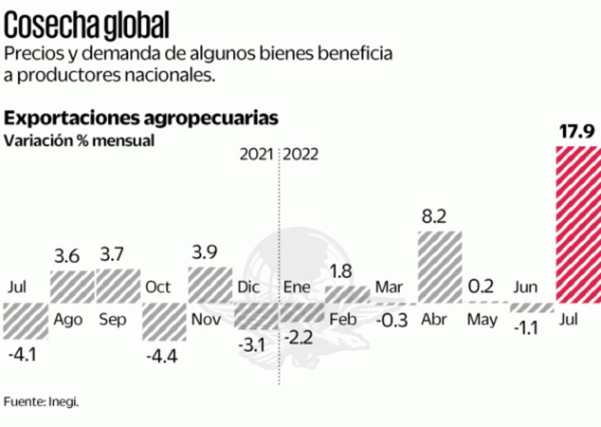 Exportaciones del campo tienen mejor resultado en 6 años