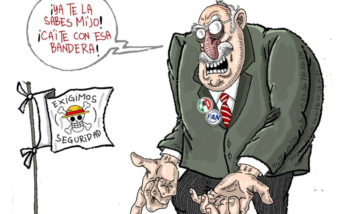 Cartón de FER