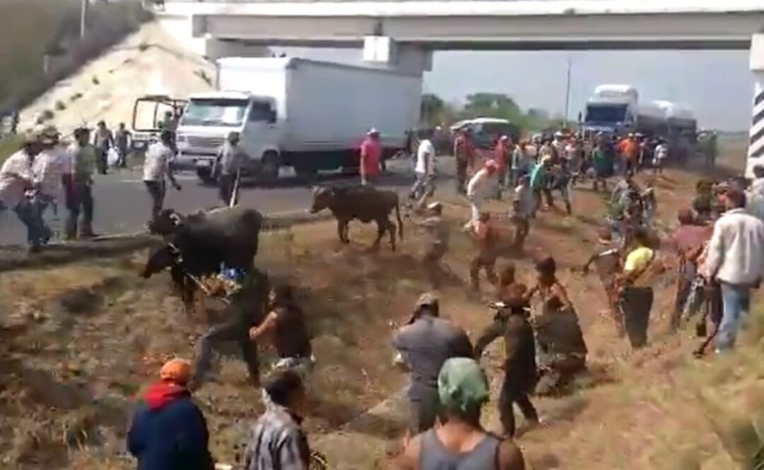 Foto: tomada de video