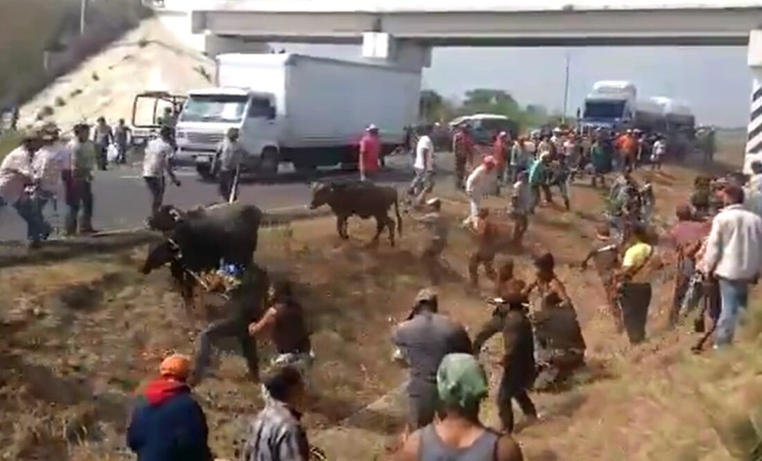 Foto: tomada de video