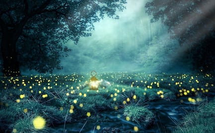 La tecnología OLED se pone a prueba en el Santuario de las luciérnagas