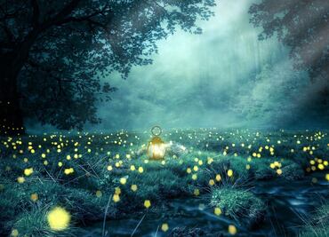 La tecnología OLED se pone a prueba en el Santuario de las luciérnagas