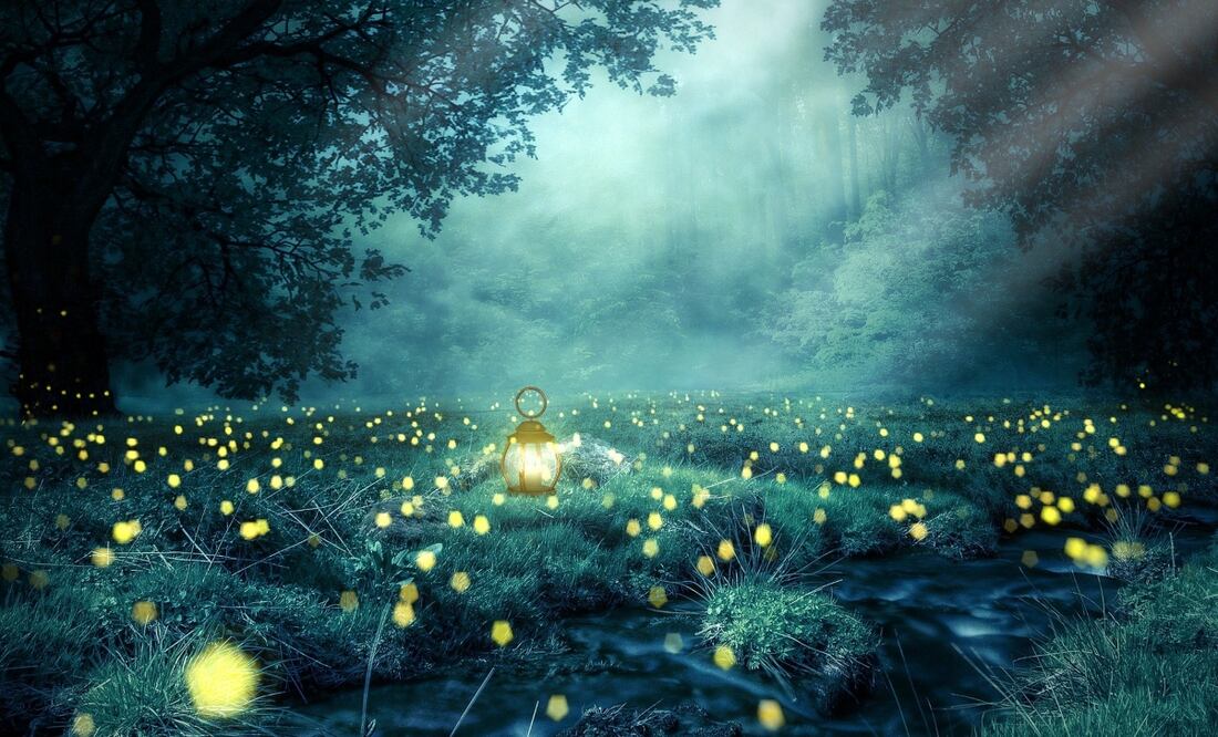 Cada año se abre el avistamiento en el Santuario Piedra Canteada en Tlaxcala. Imagen Pixabay