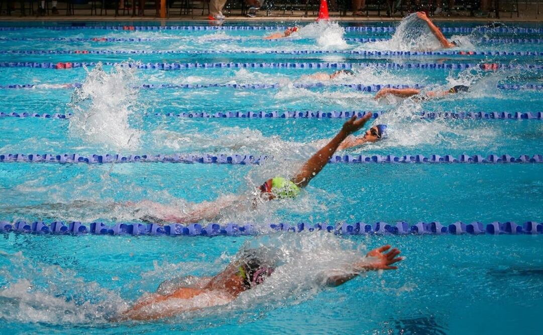 FACEBOOK: FederacionMexicanadeNatacion