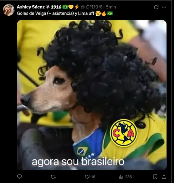 Estos son LOS MEJORES MEMES del triunfo del América