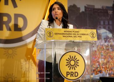 Prorrogan un año más dirigencia de Barrales en el PRD