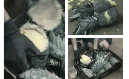 Cocaína en piñas; Costa Rica ataca importantes centros de narcotráfico