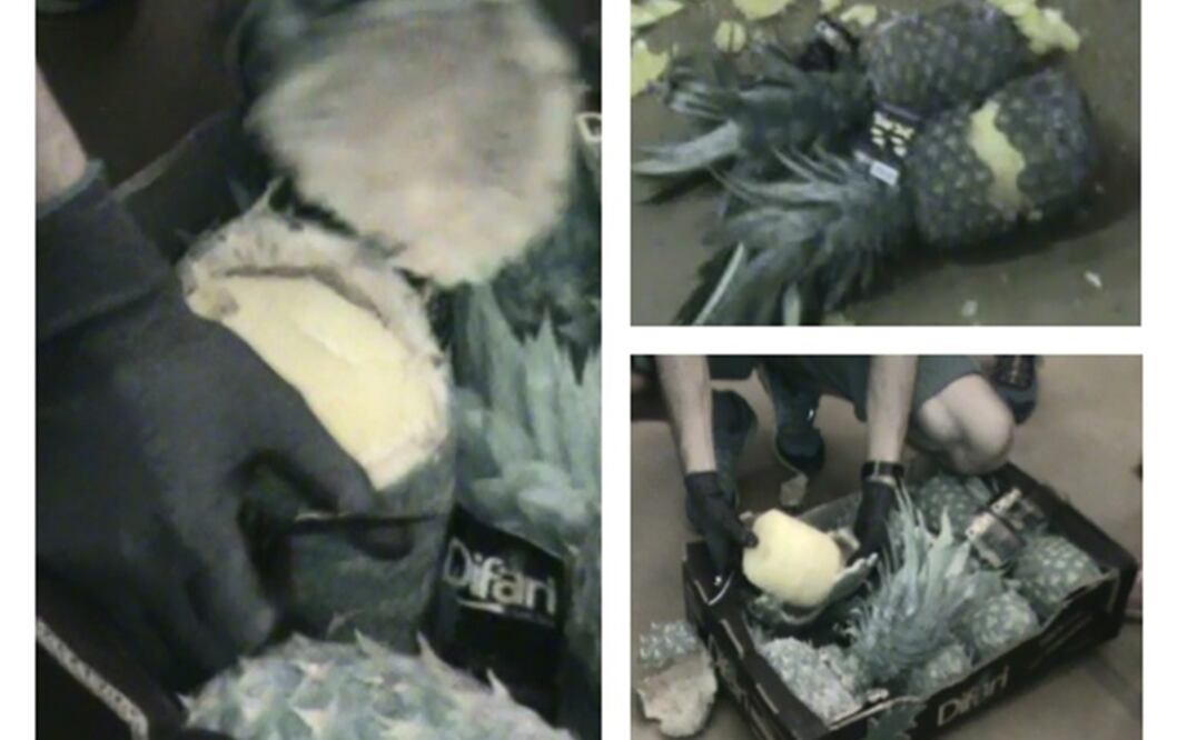 Las autoridades distribuyeron esta composición gráfica de piñas a las que se introdujeron cilindros de cocaína para transportar por mar a Europa. Foto: Ministerio de Seguridad Pública de Costa Rica