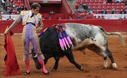 Arturo toreó por nota un gran lote de la Estancia