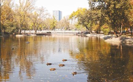 ¿Frío o calor? Así estará el clima en CDMX hoy