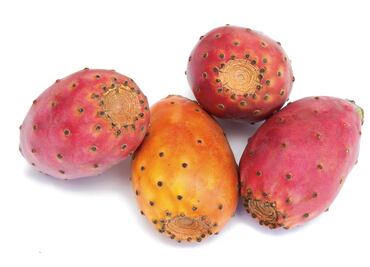 Rica en calcio y fósforo, la tuna es la única fruta en el Escudo Nacional