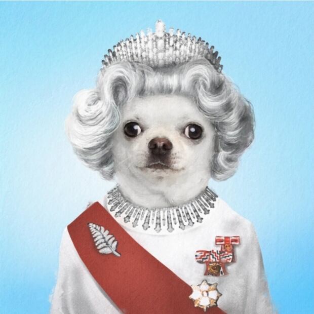 Disfrazan a mascotas de personajes de la cultura pop y se vuelve viral