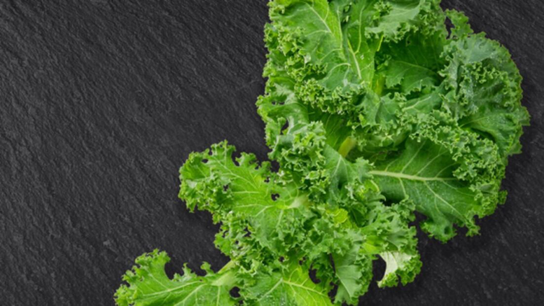 Conoce los 50 alimentos del futuro