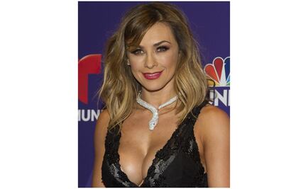 Aracely Arámbula les da su regalo a los papás luciendo mini bikini
